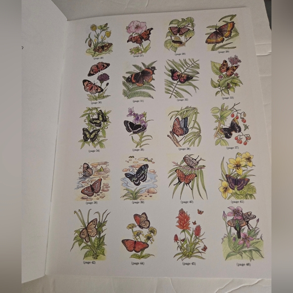 Bundle/3 Butterfly Adult Coloring Books - Picture 9 of 16